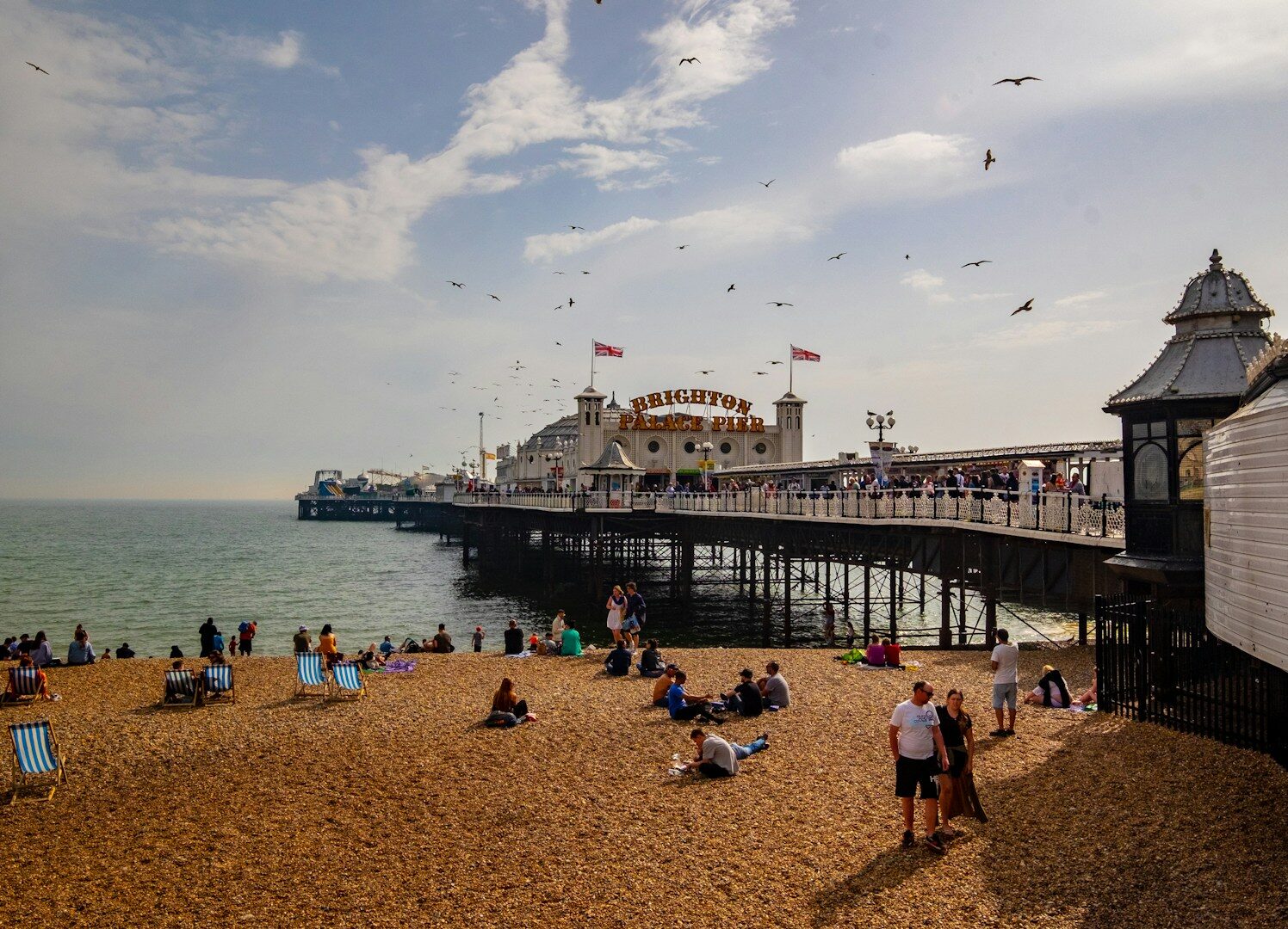 dog friendly uk - brighton
