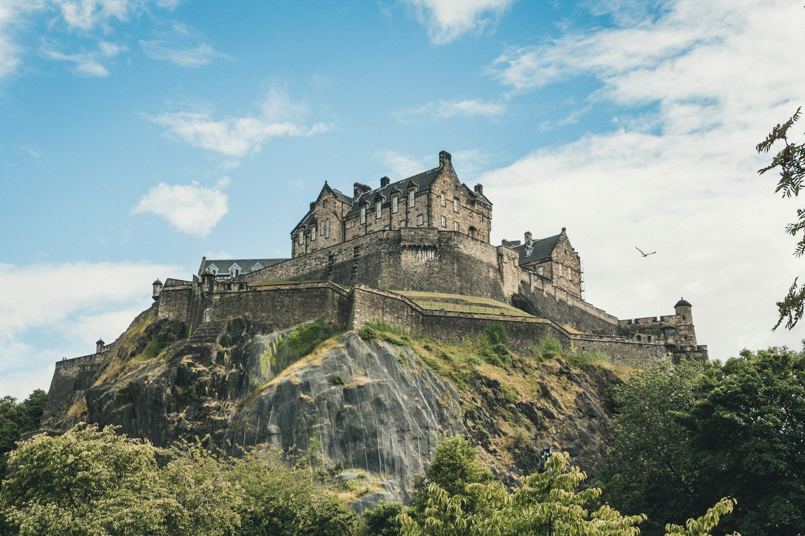dog friendly uk - edinburgh