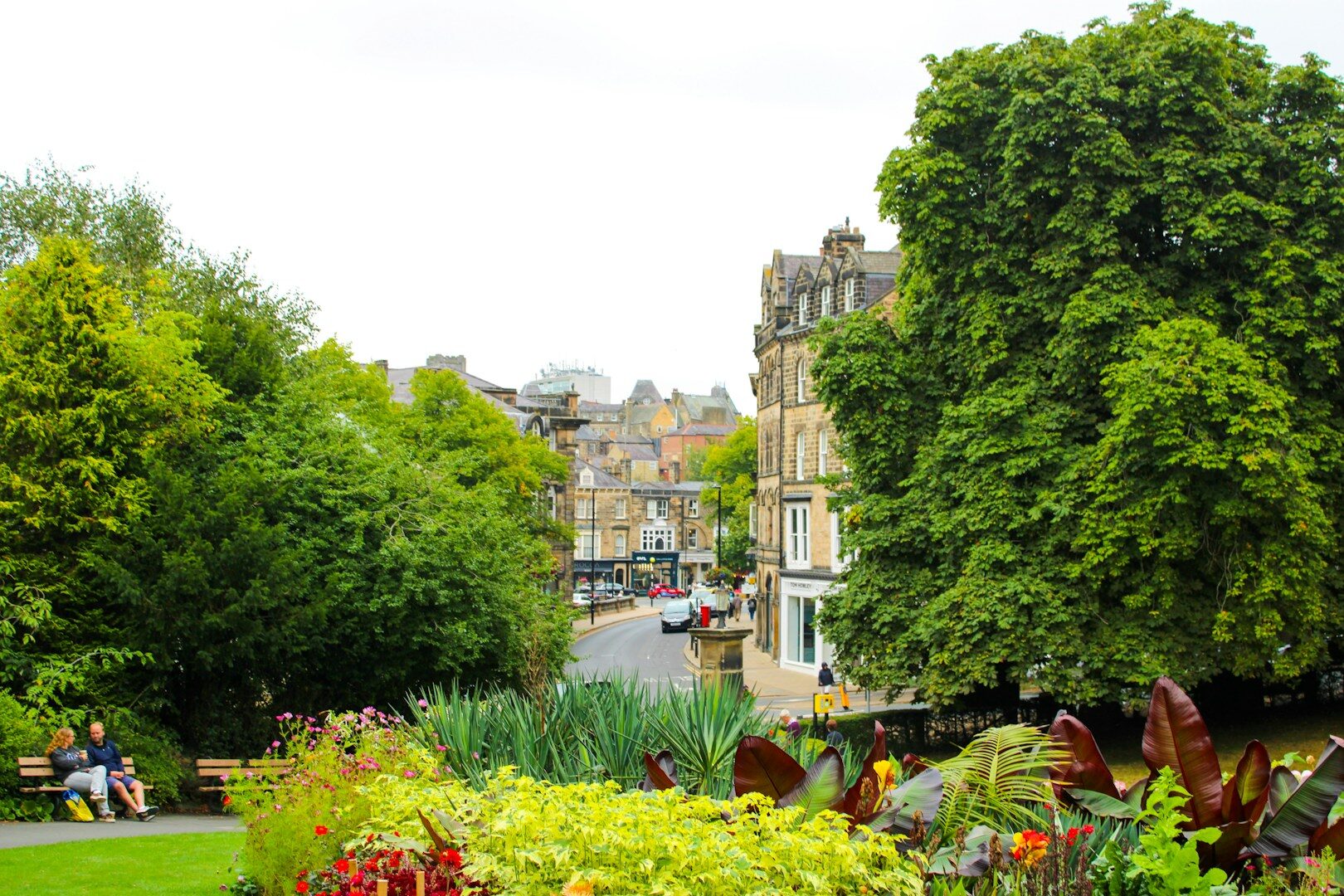 dog friendly uk - harrogate
