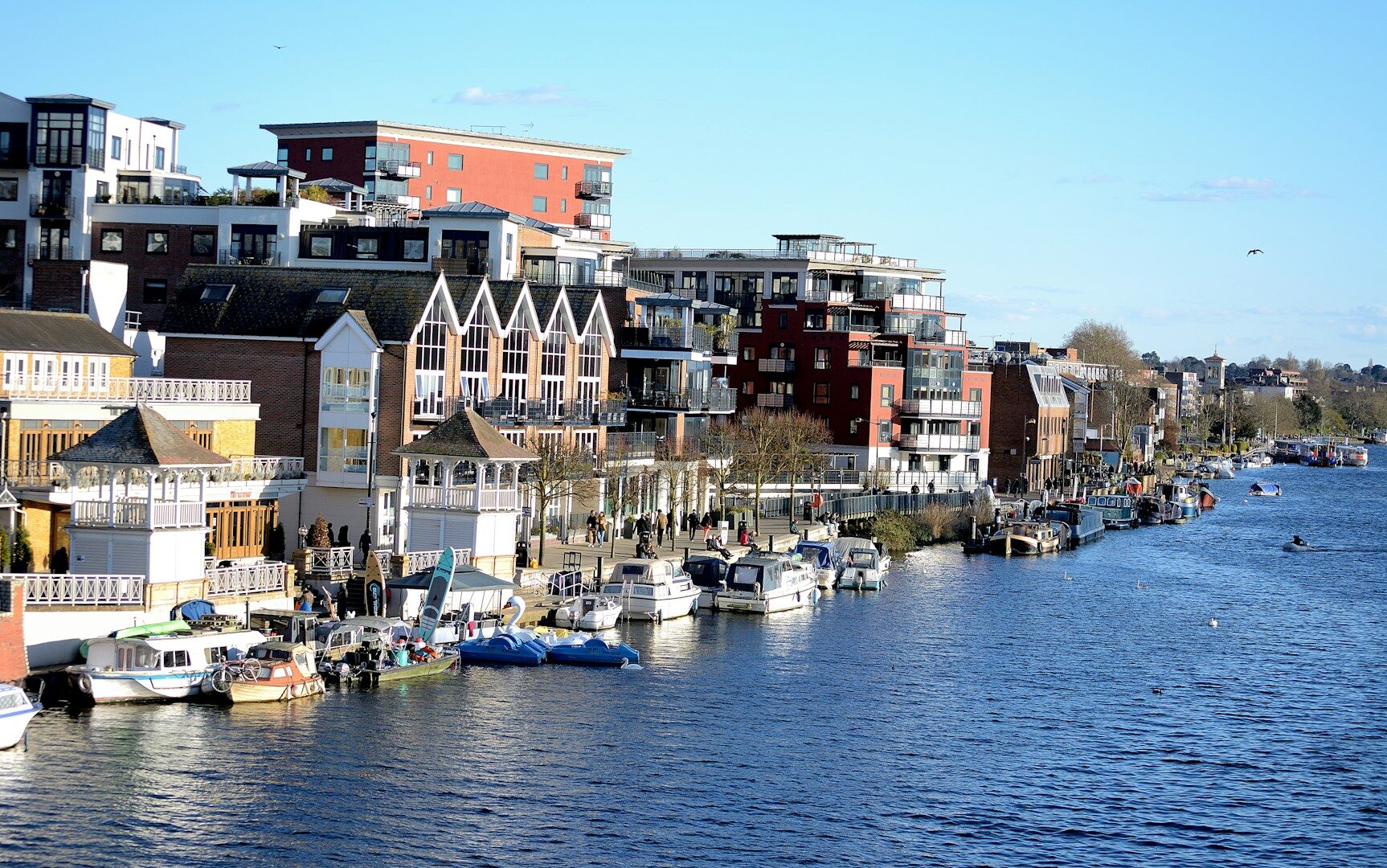 dog friendly uk - kingston upon thames