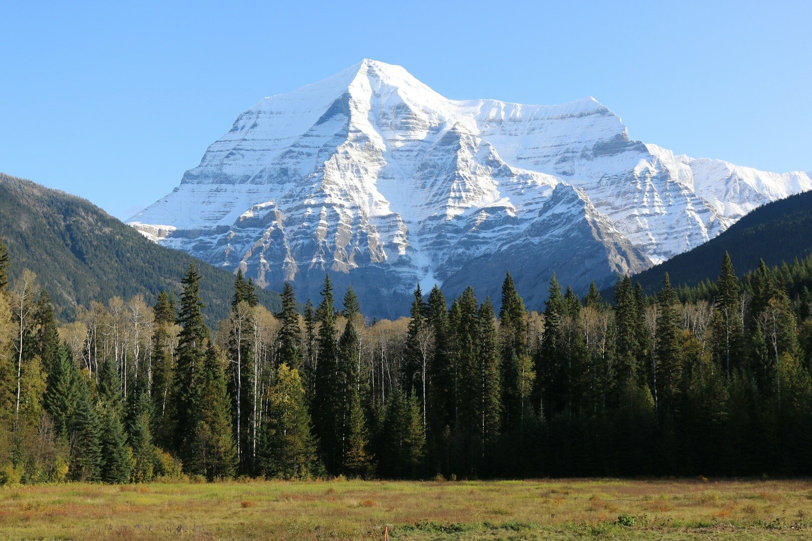 dog walks in canada - bc mount robson provincial park