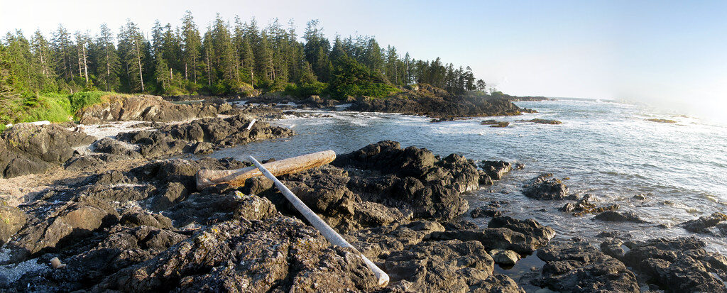 dog walks in canada - bc vancouver island pacific rim national park reserve beaches