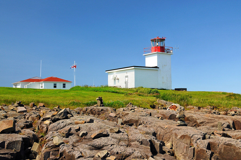 dog walks in canada - ns bay fundy