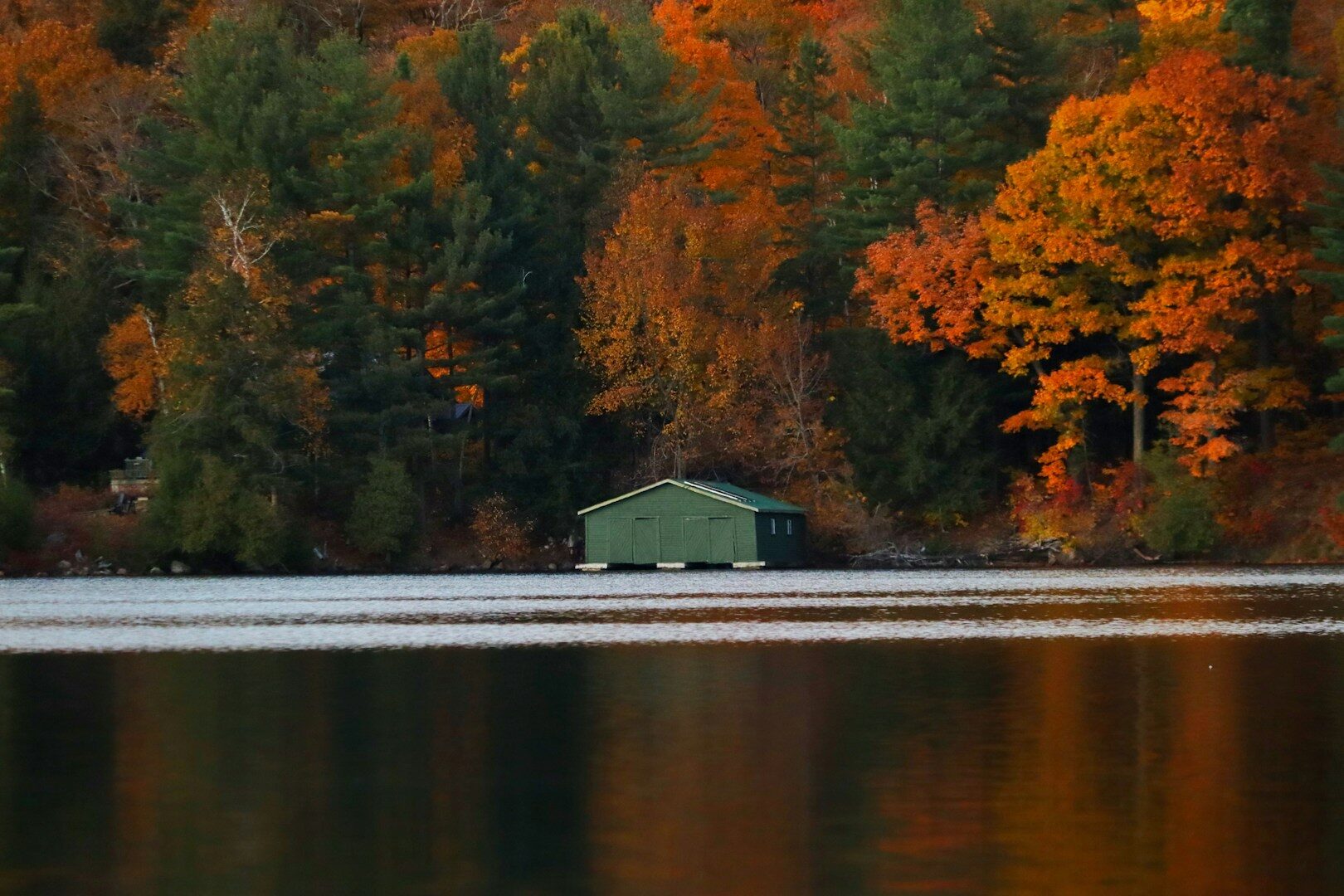dog walks in canada - qc ottawa gatineau park
