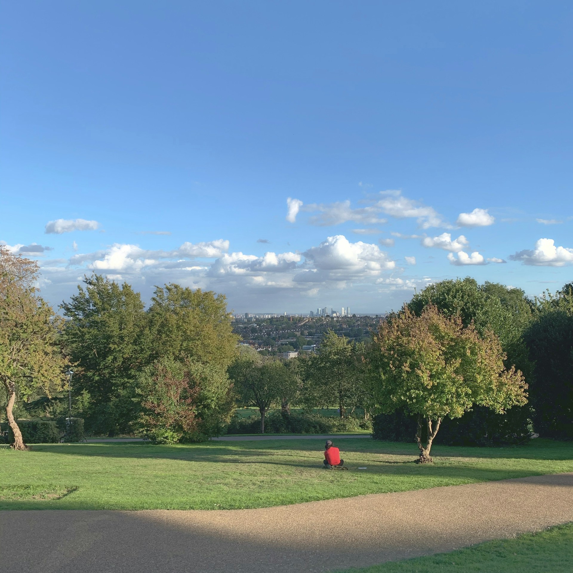 Dog walking jobs London - alexandra palace park